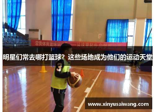 明星们常去哪打篮球？这些场地成为他们的运动天堂